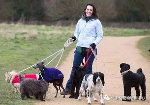 遛狗吃瓜丝,共享悠闲生活时光