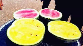 100个吃瓜爆料,揭秘娱乐圈背后的真相与秘密