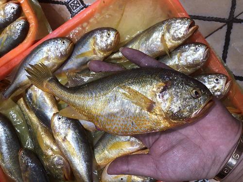 2021吃瓜抖音,年度热门事件大盘点