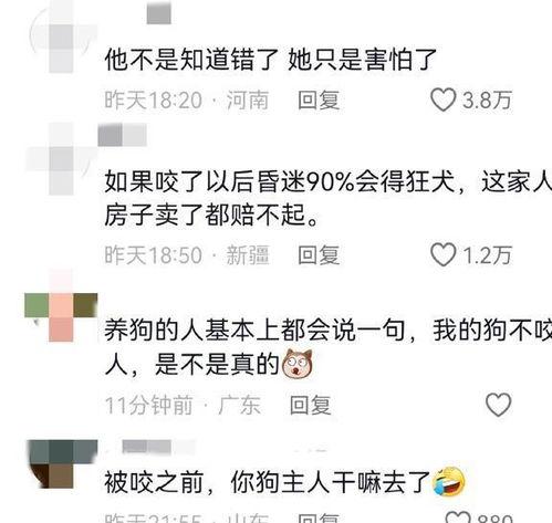 吃瓜悔恨全集,揭秘娱乐圈背后的真相与反思