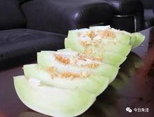 珠科吃瓜,揭秘校园热点事件背后的真相