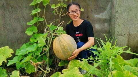 程女士吃瓜完,娱乐圈幕后真相曝光