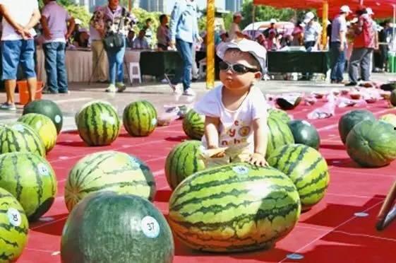 吃瓜网今日大赛,精彩对决,谁将脱颖而出?