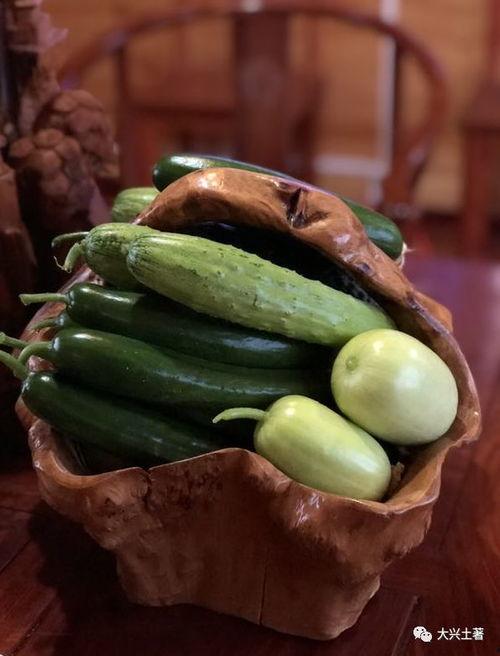 最近介休吃瓜事件,一场网络舆论的风暴与反思