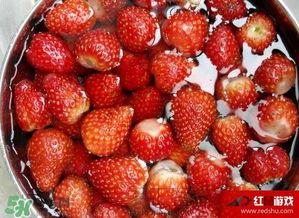 吃瓜草莓小熊,揭秘萌宠美食日记