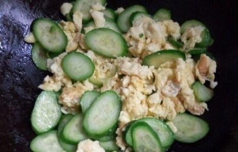 荷兰队吃瓜,一场足球盛宴中的意外插曲