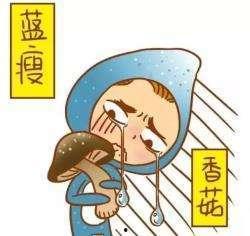 蓝瘦香菇吃瓜,揭秘网络热词背后的故事