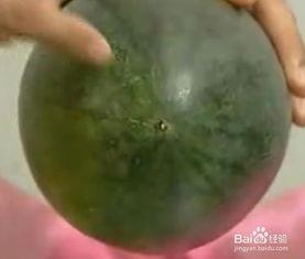 吃瓜偶尔不吐籽,揭秘瓜界那些事儿