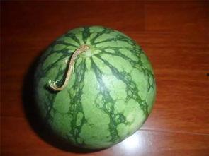 招笑吃瓜,揭秘娱乐圈那些逗趣瞬间