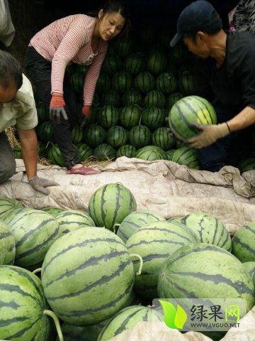 新乐最近吃瓜新闻事件,揭秘近期热议事件背后的真相