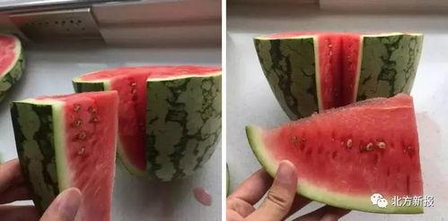 吃瓜吞籽,揭秘瓜果中的奇妙世界