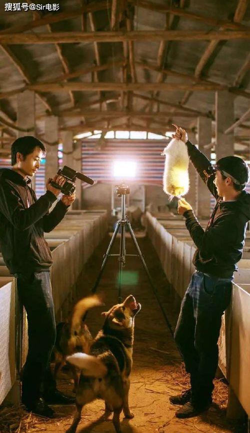 自由吃瓜小组基地,揭秘网络舆论场的“瓜田”盛景